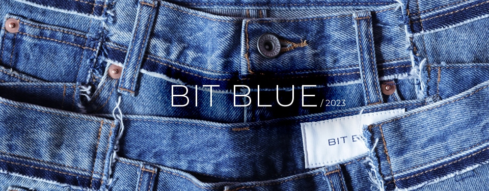 BIT BLUE / 2023